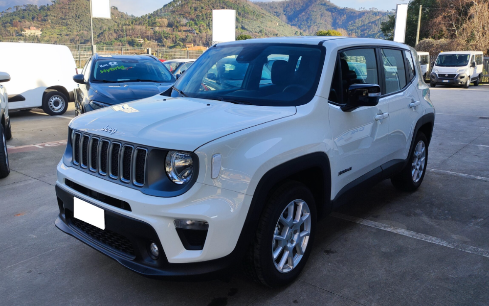 Noleggio Lungo Termine Jeep RENEGADE USATO